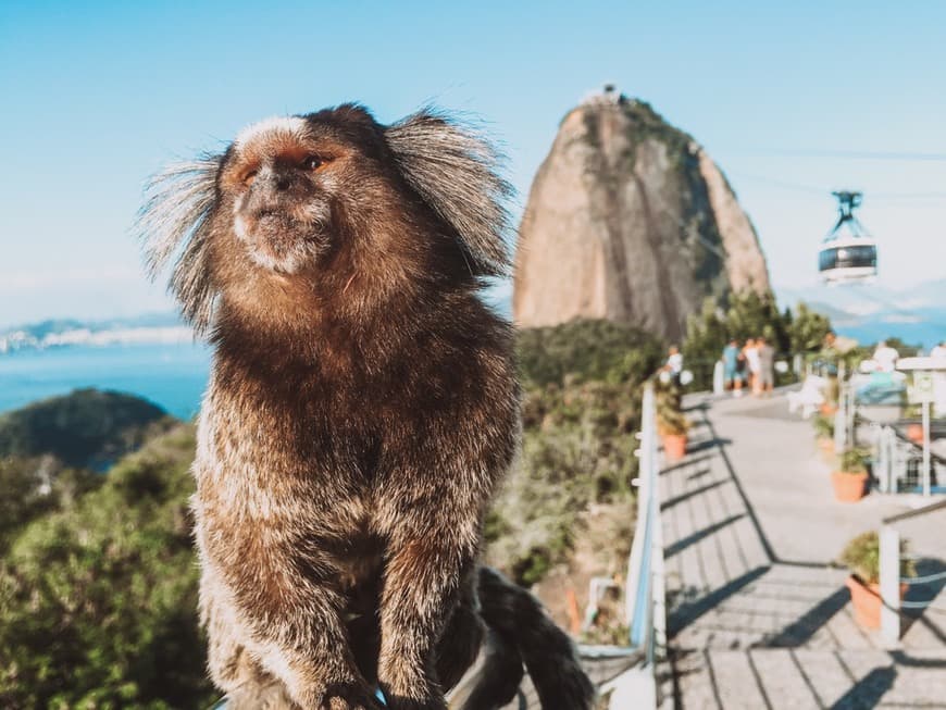 Lugar Pão de Açucar