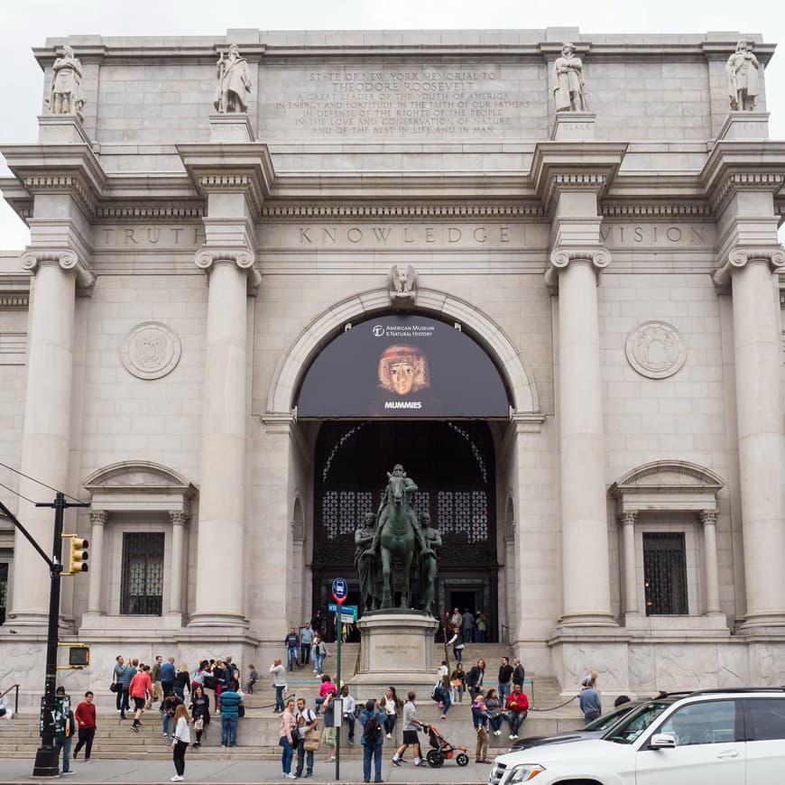 Place American Museum of Natural History