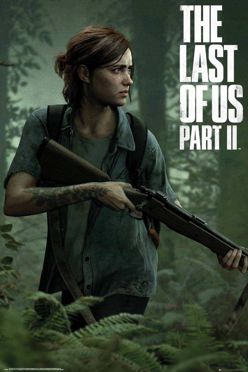 Electrónica The Last of Us Parte II