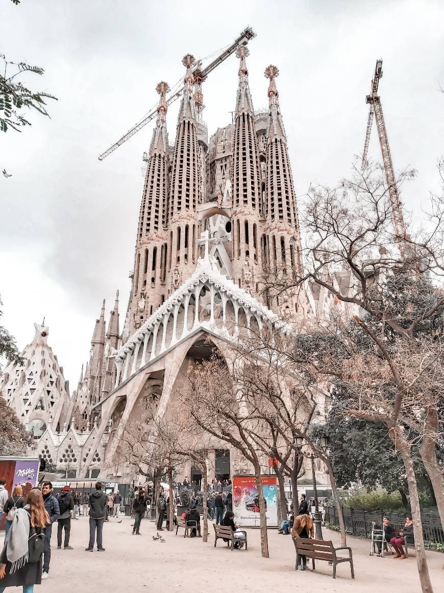 Lugar Basílica Sagrada Familia