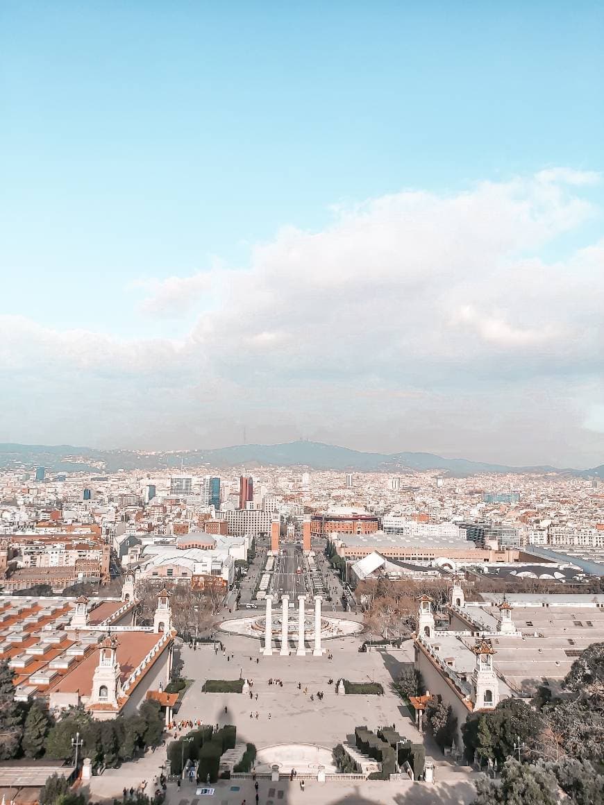 Lugar Museo Nacional de Arte de Cataluña