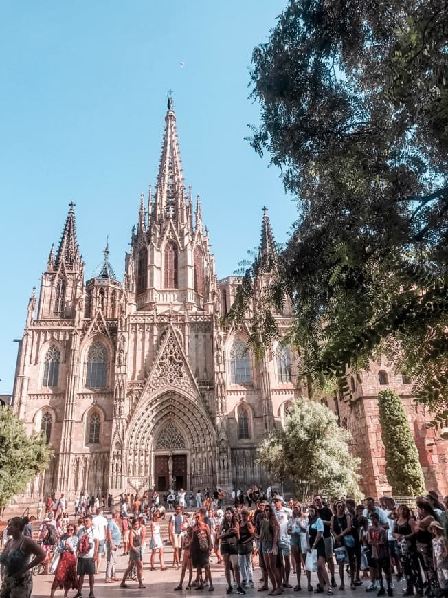 Place Catedral de Barcelona