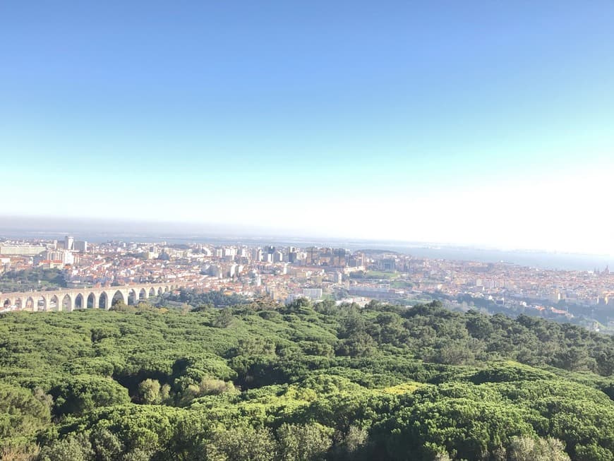 Lugar Mirador Panorámico de Monsanto