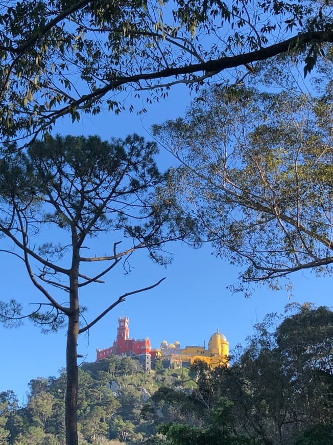 Lugar Palacio da Pena