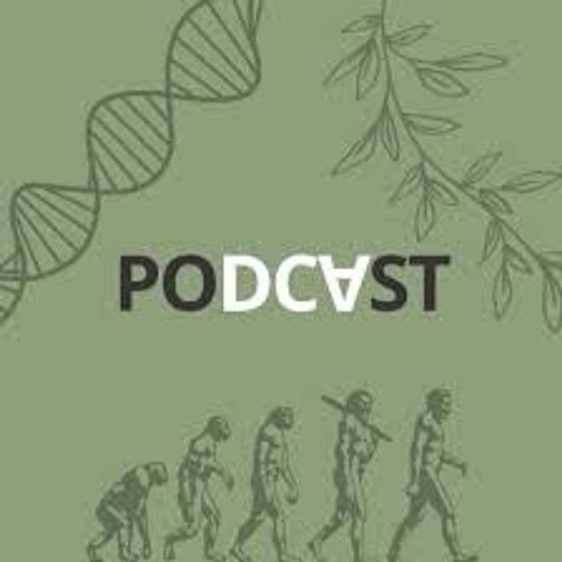 Fashion Podcast DCV