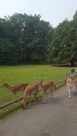 Place Lindenthaler Tierpark