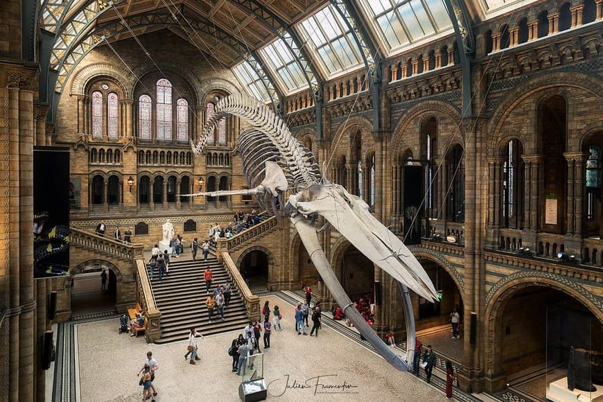 Place Natural History Museum