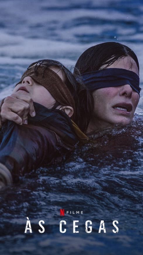 Película Bird Box