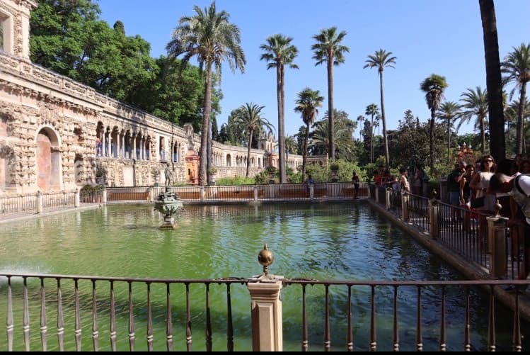 Lugar Real Alcázar de Sevilla