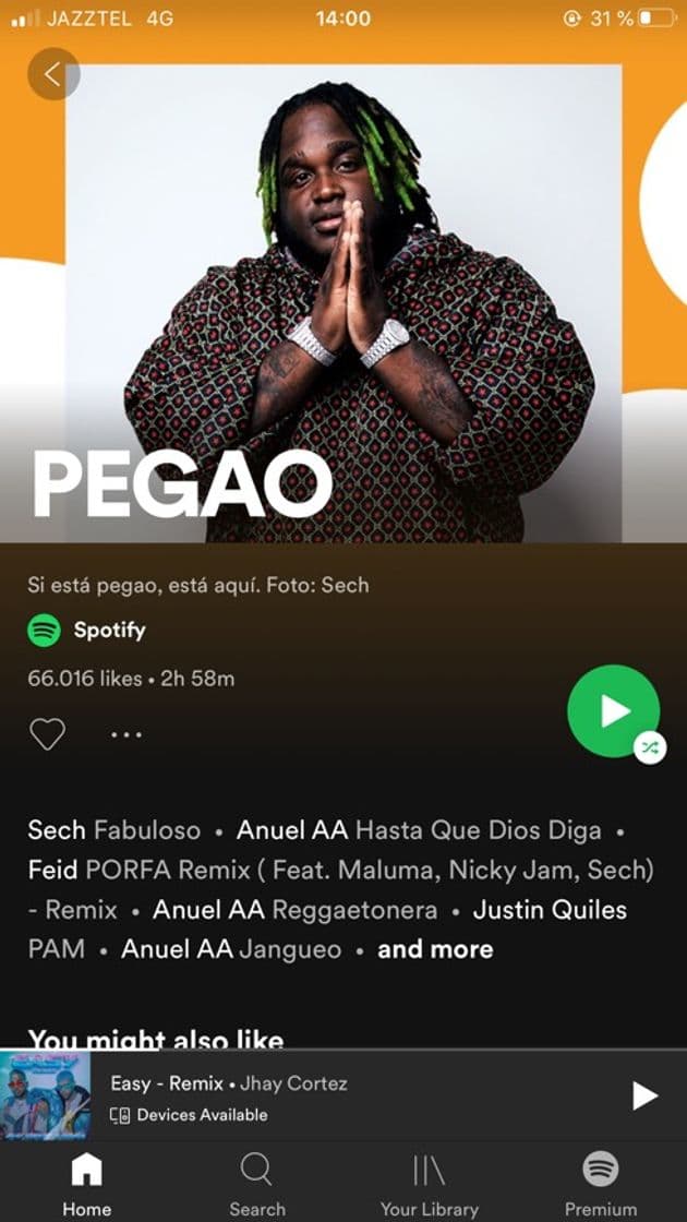 Music PEGAO