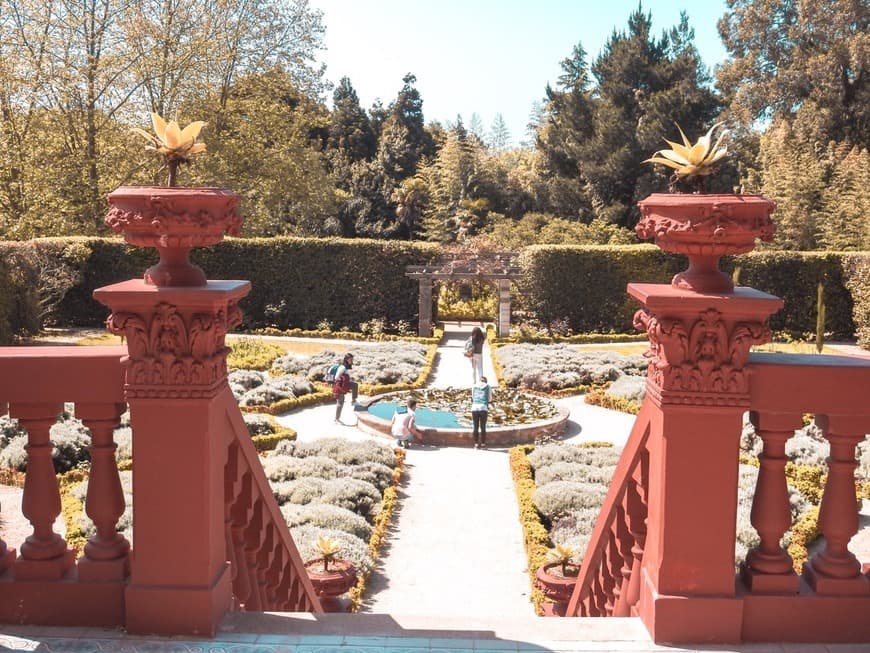 Place Jardín Botánico de la Universidad de Oporto