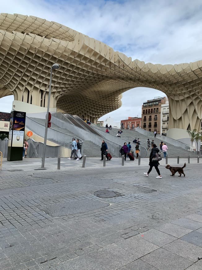 Place Setas de Sevilla