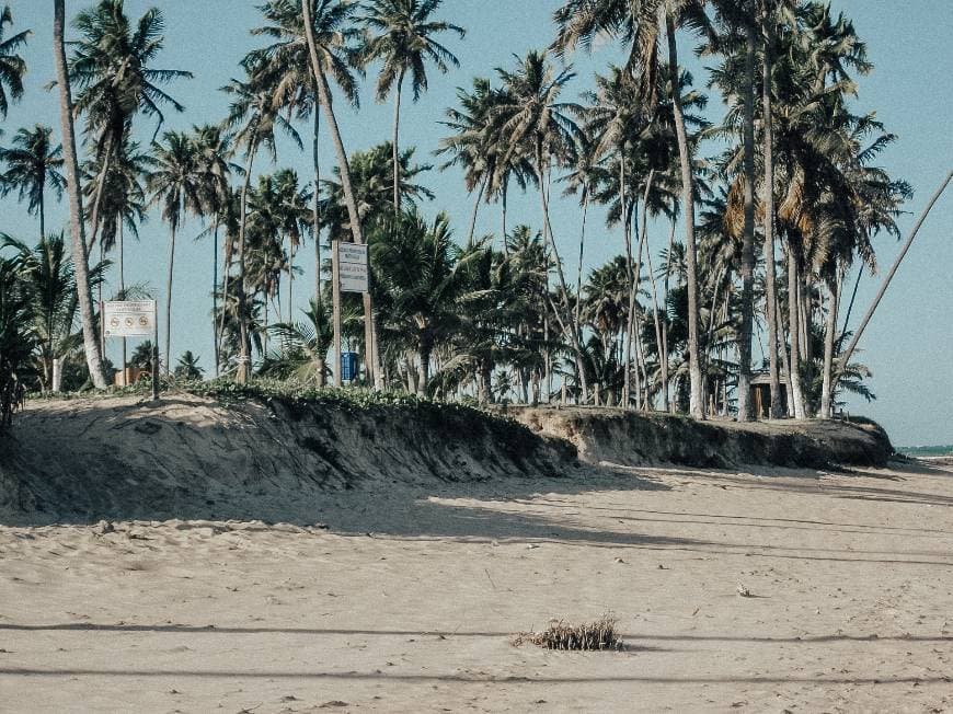 Place Praia de Guarajuba