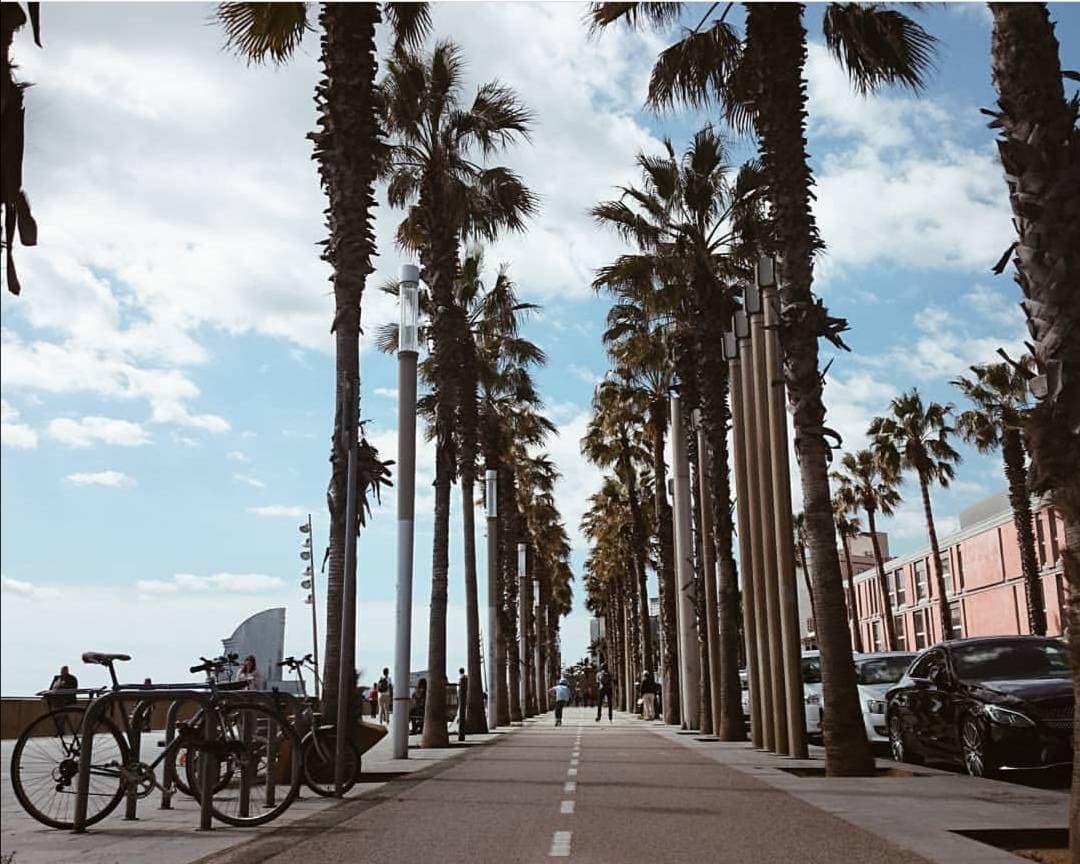 Lugar La Barceloneta