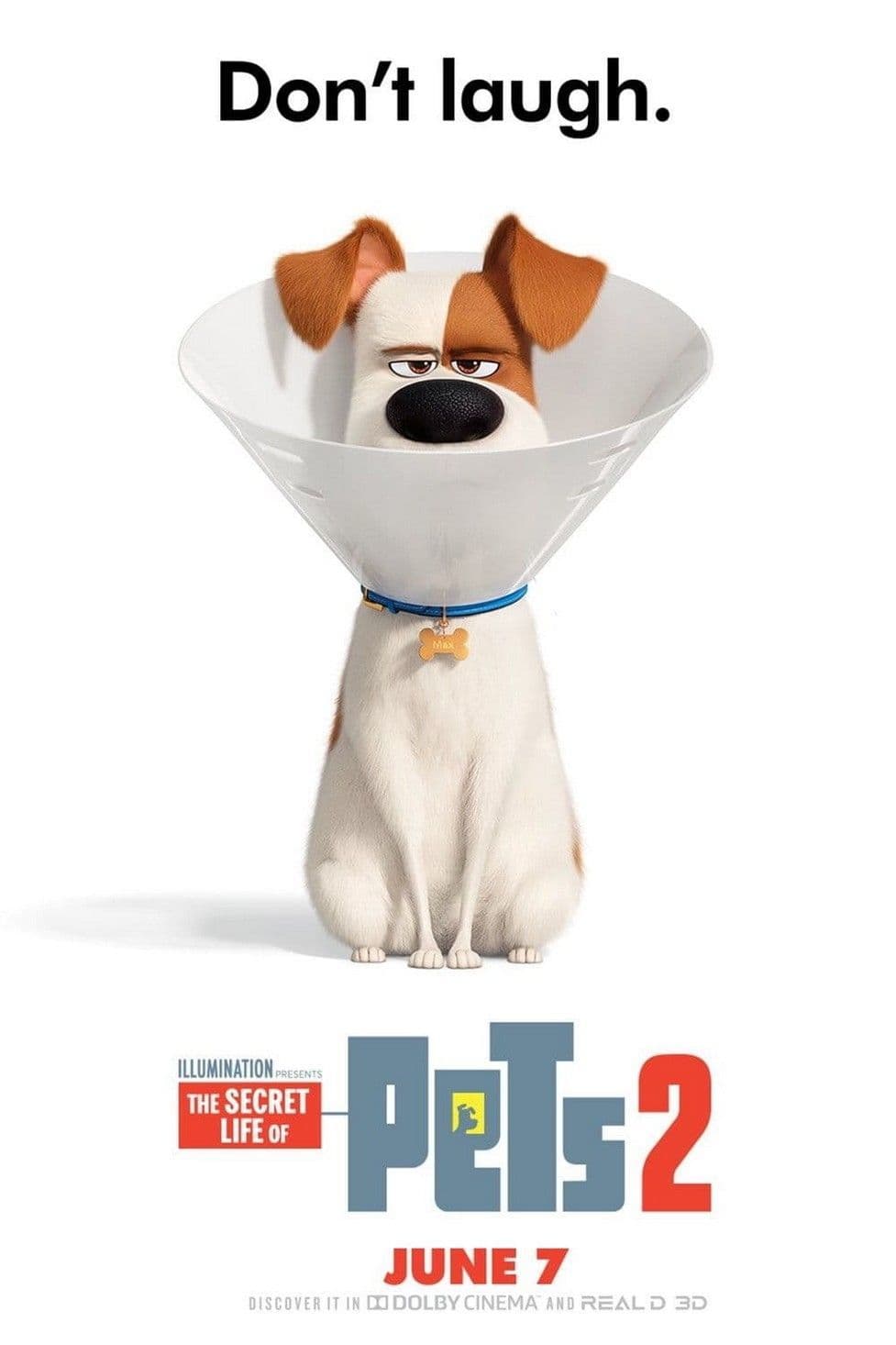 Película The Secret Life of Pets 2