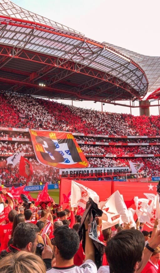 Place Estádio Sport Lisboa e Benfica