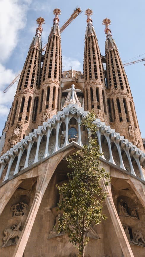 Fashion Sagrada Familia: Sagrada Família - Official ticket vendors