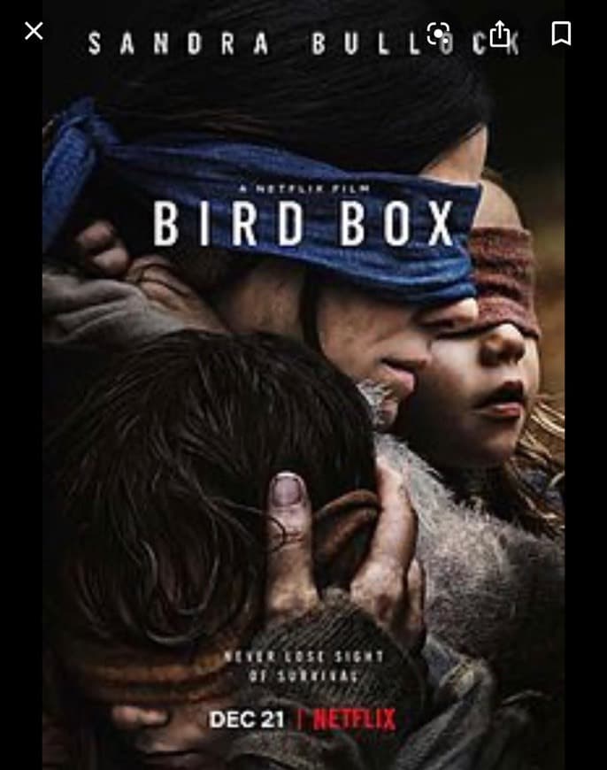 Fashion Birdbox