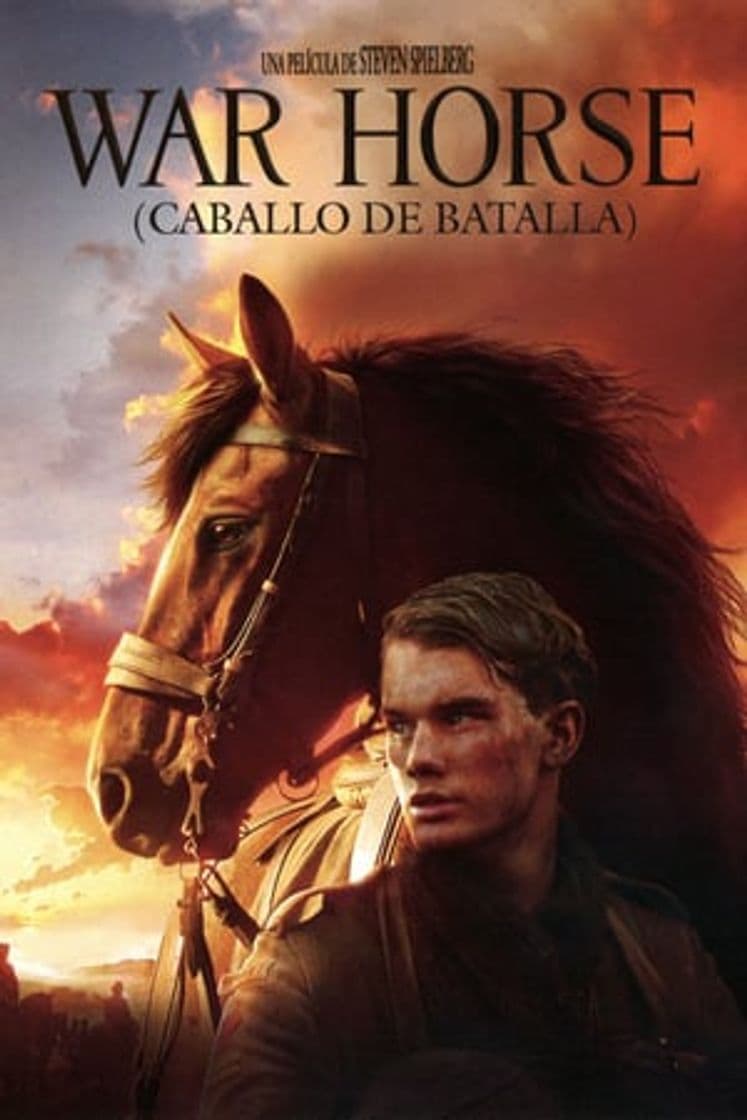 Película War Horse