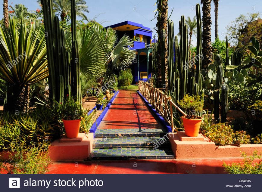 Place Jardín Majorelle