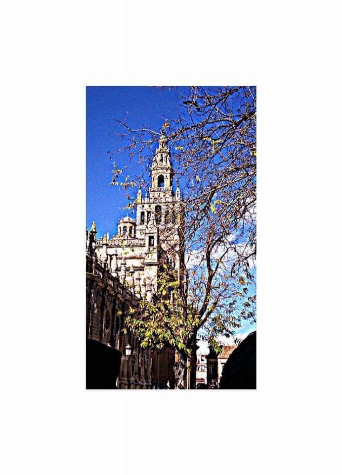 Place La Giralda 