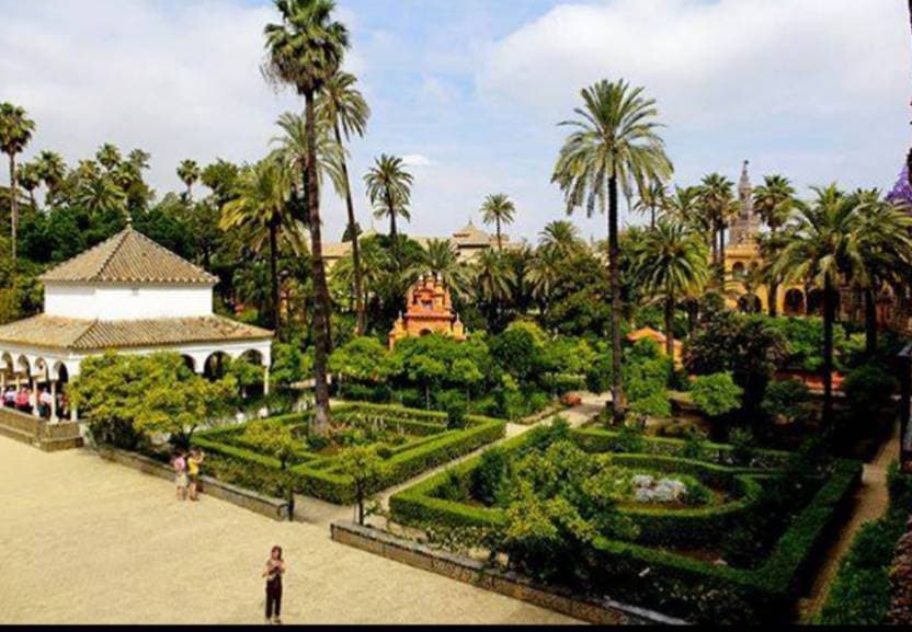 Place Calle Jardines del Alcázar