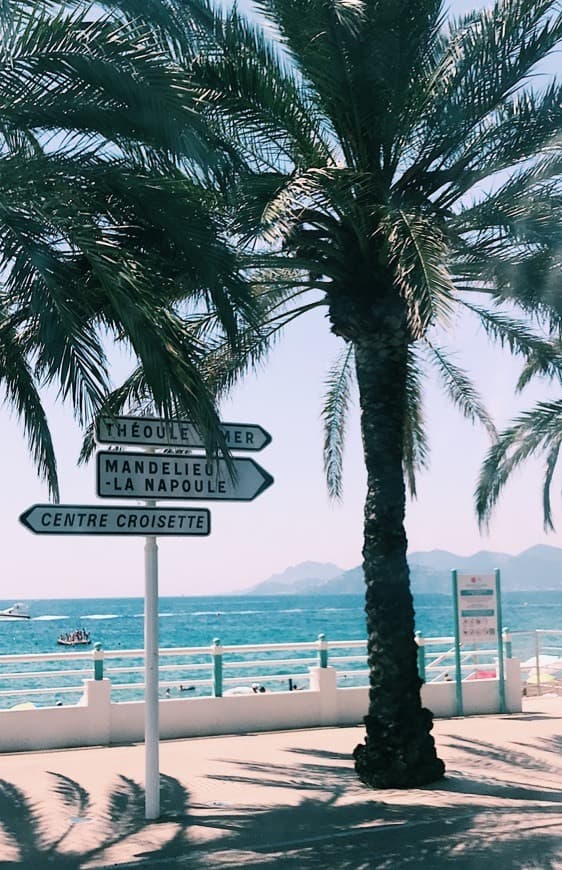 Place Cannes