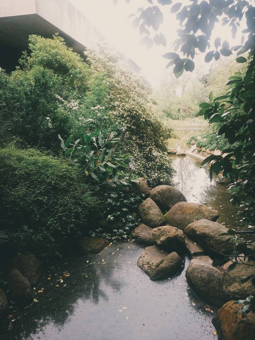 Lugar Parque Gulbenkian