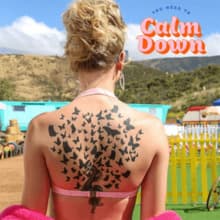 Music You Need to Calm Down - Taylor Swift