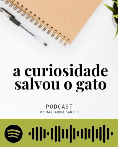 Fashion A Curiosidade Salvou o Gato