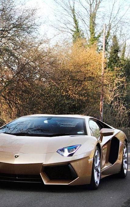 Fashion Lamborghini Aventador