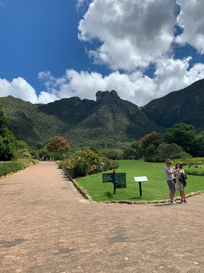 Lugar Kirstenbosch National Botanical Garden