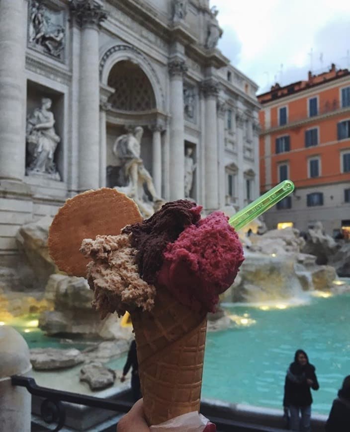 Place Fontana di Trevi