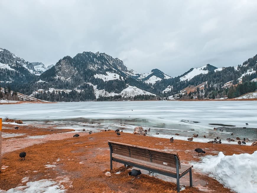 Lugar Lac Noir