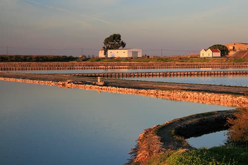 Place Salinas do Samouco, Fundação para protecção e Gestão Ambiental