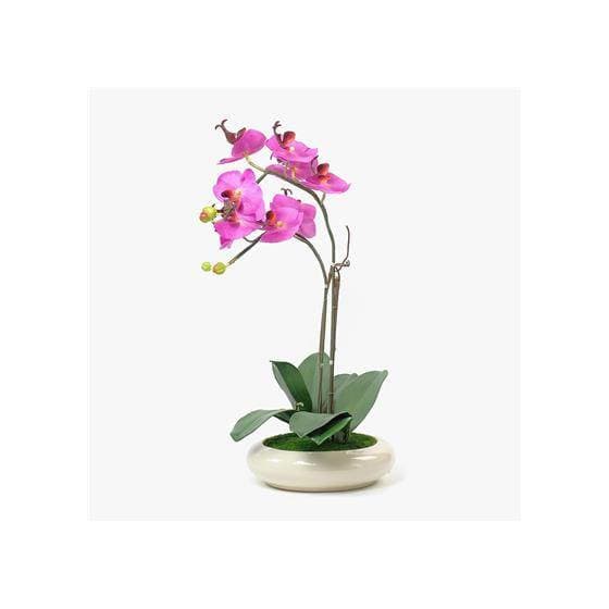 Producto Orquídea rosa