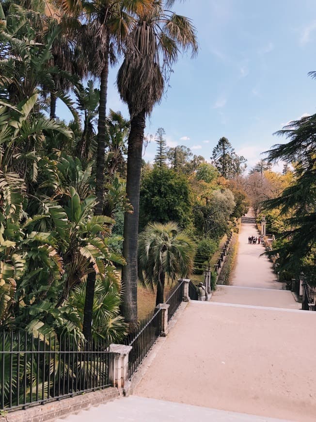 Lugar Jardim Botânico da Universidade de Coimbra