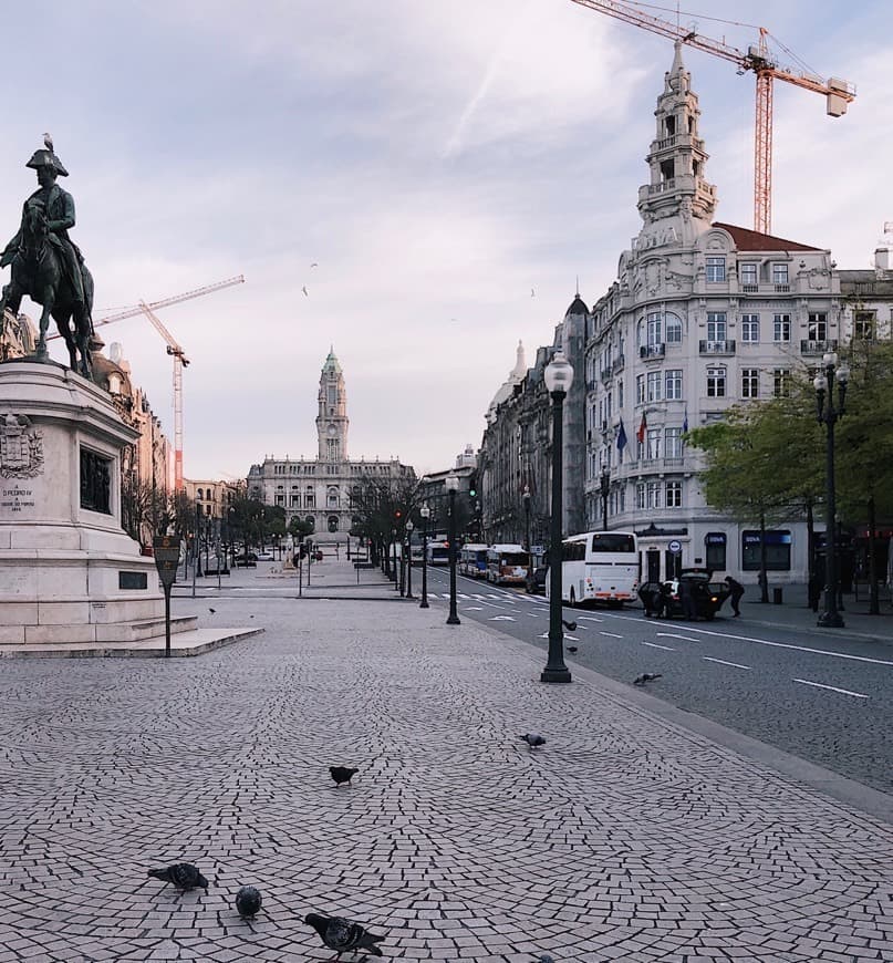 Lugar Avenida dos Aliados