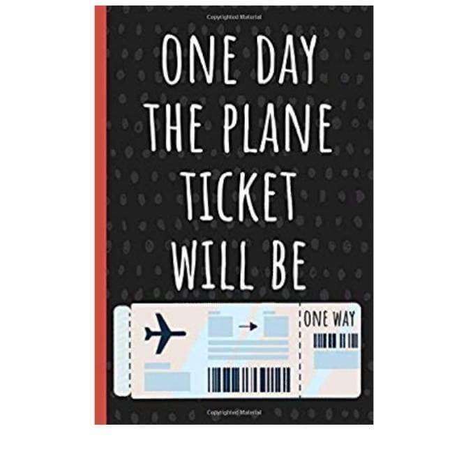 Libro One day the plane ticket will be