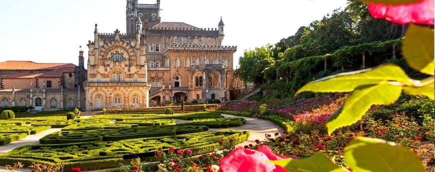 Place Bussaco Palace Hotel