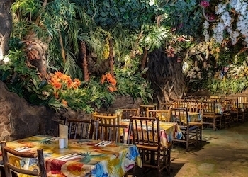 Restaurants Rainforest Cafe