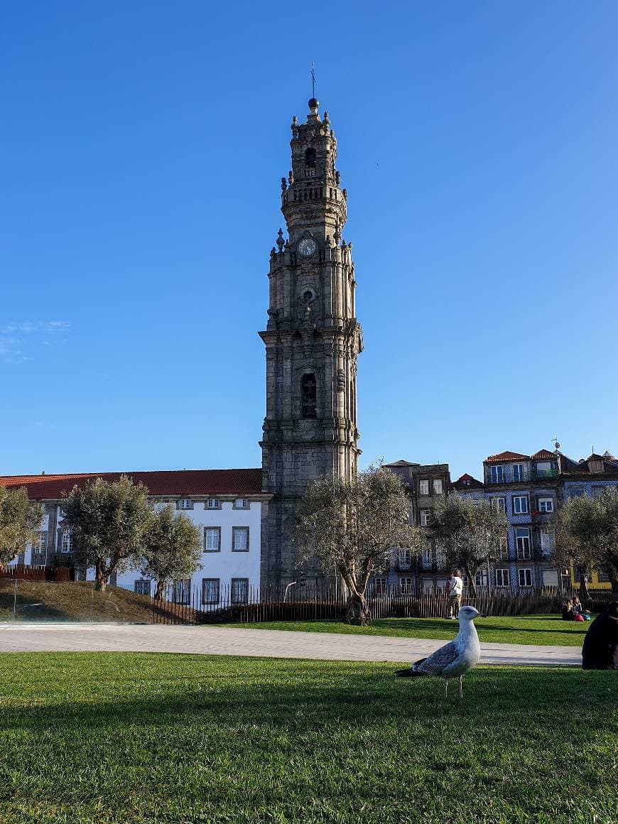 Place Clérigos Tower