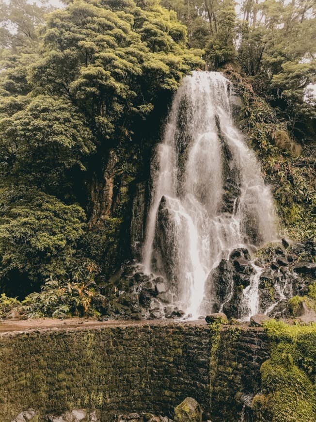 Place Parque Natural da Ribeira dos Caldeirões