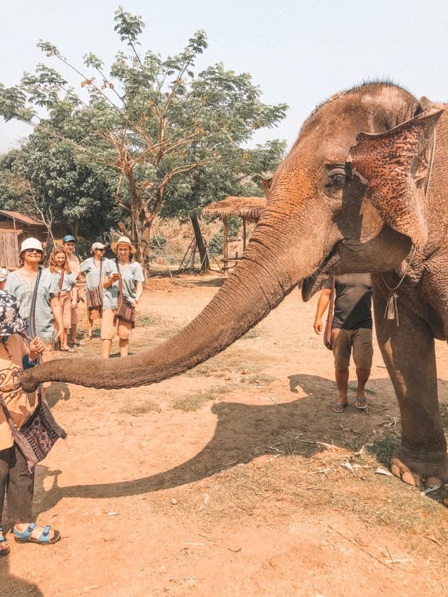 Lugar Chiang Mai