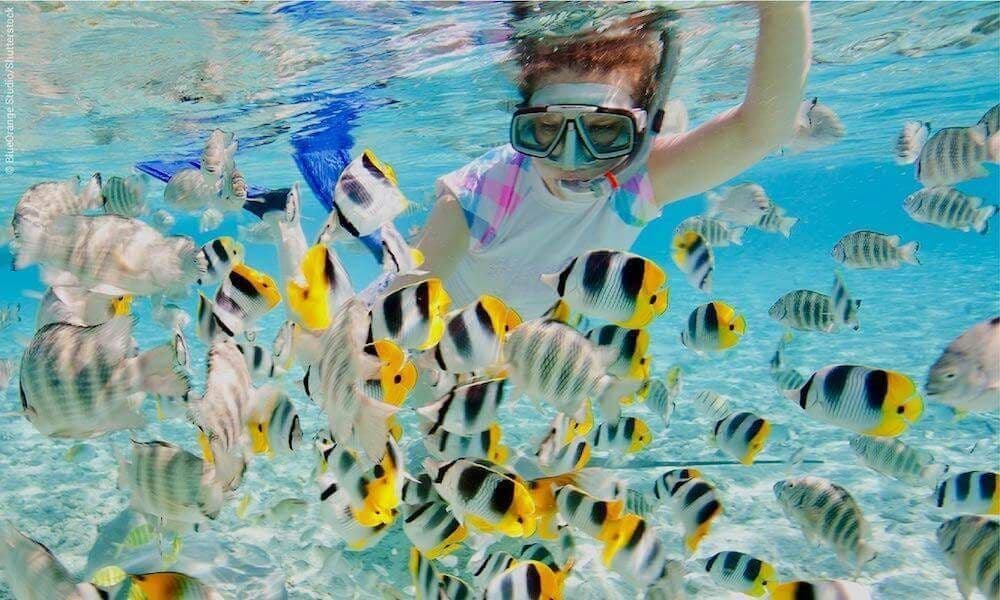 Lugar Snorkeling