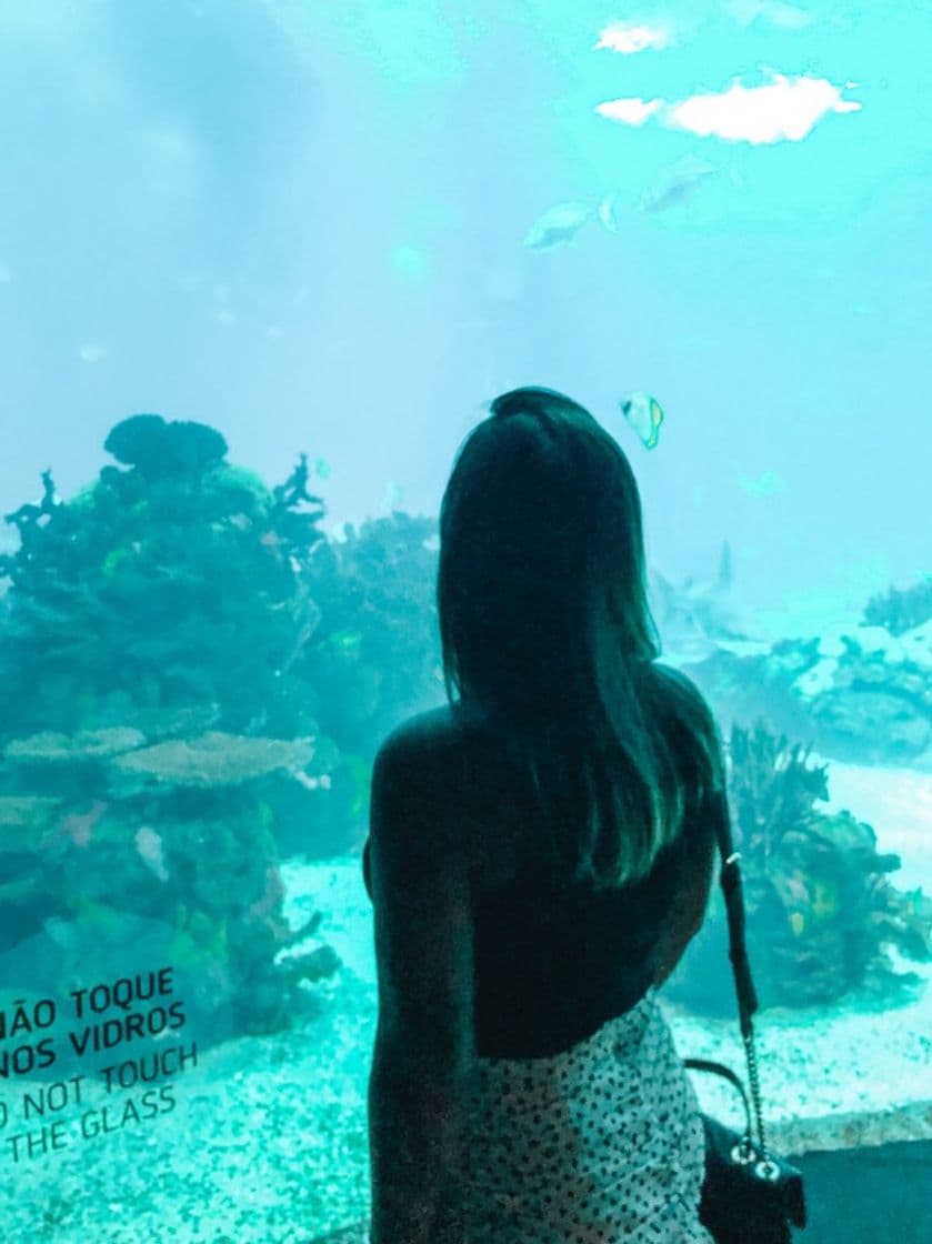 Lugar Oceanario de Lisboa