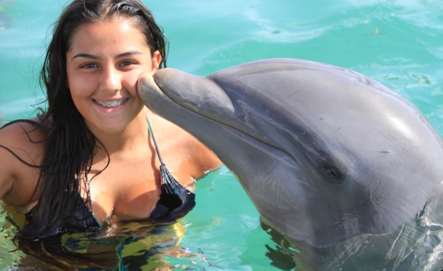 Lugar Dolphin Discovery Punta Cana