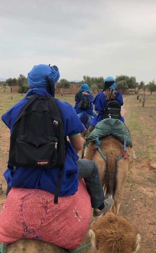 Lugar Camp Camel Tour Sahara