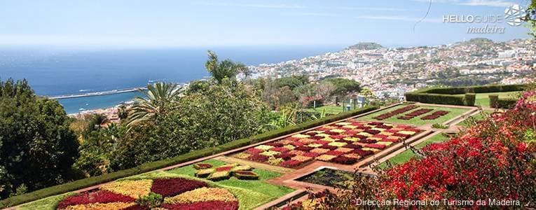 Lugar Jardín Botánico de Madeira