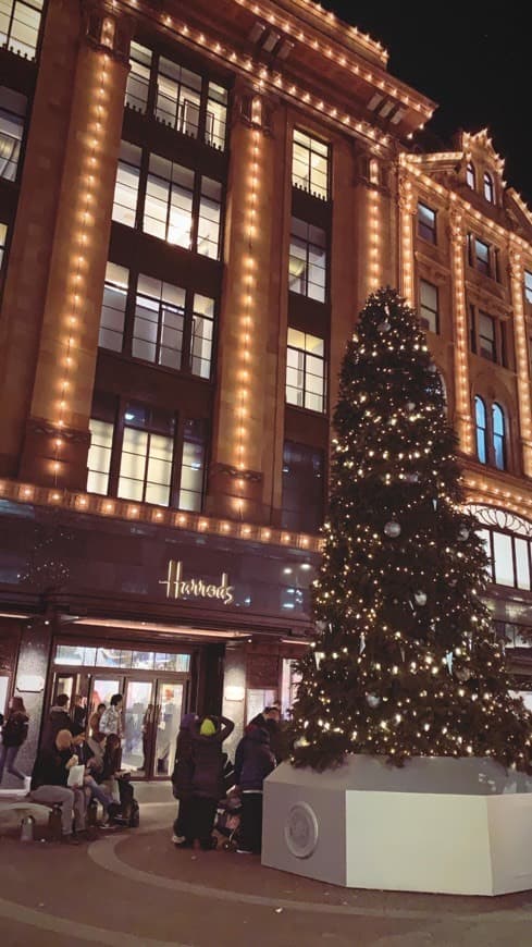 Place HARRODS LONDON